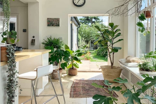 3 ý tưởng làm mát nhà cửa, văn phòng, chung cư với cây xanh cho ngày hè oi bức